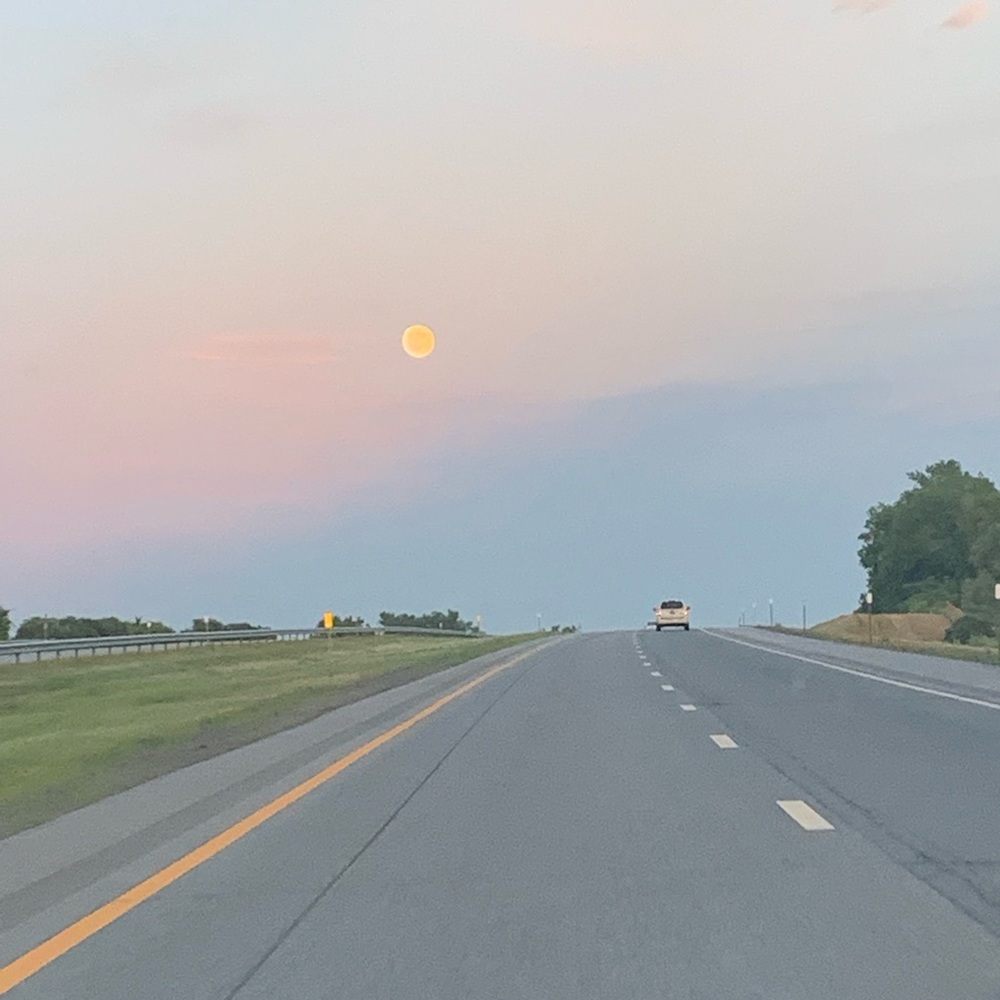 Meet your Posher, Liz